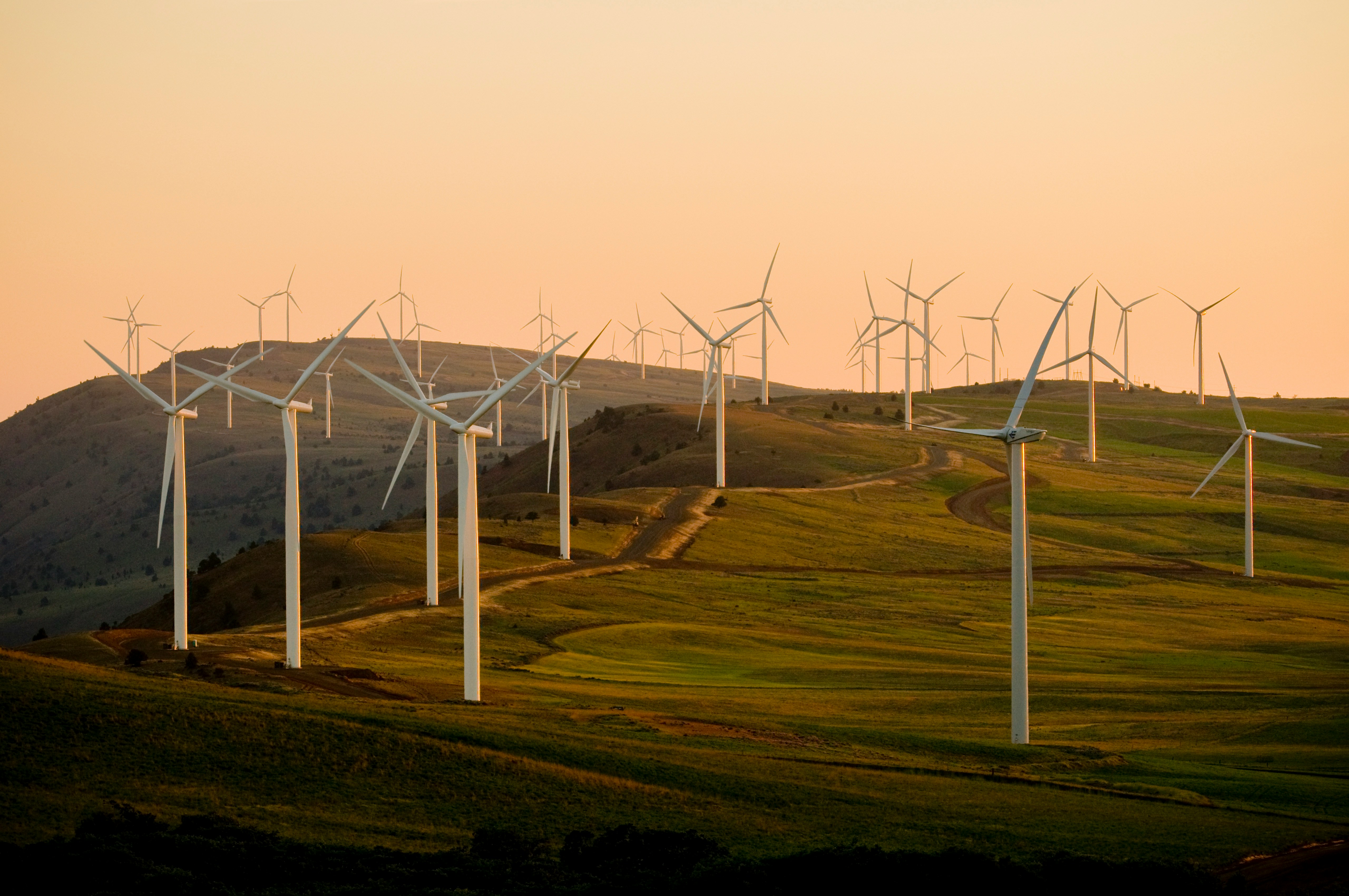 Wind turbines on a renewable energy project site at sunset